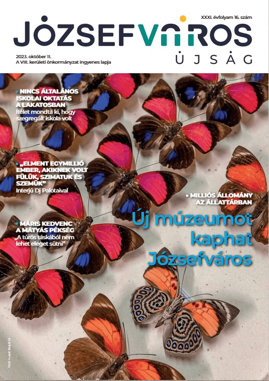Referenciák 8 jozsefvaros ujsag XXXI 16sz